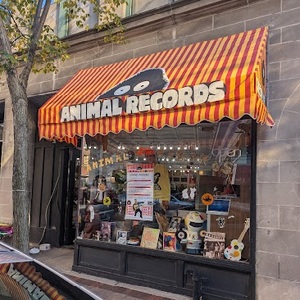 Animal Records | 624 Grove St.