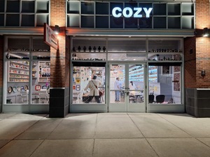 Cozy Noodles and Rice