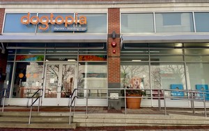 Dogtopia of Downtown Evanston